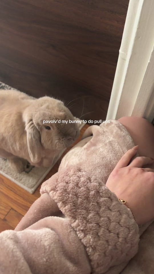 Post 2 by ✶ annie ✶ on TikTok (video)