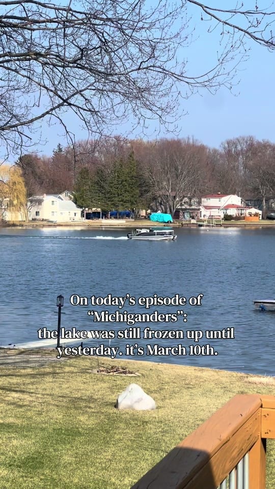 Post 4 by Megan Weese on TikTok (video)