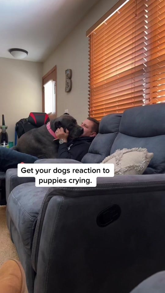 Post 9 by Amanda Birk🤍 on TikTok (video)