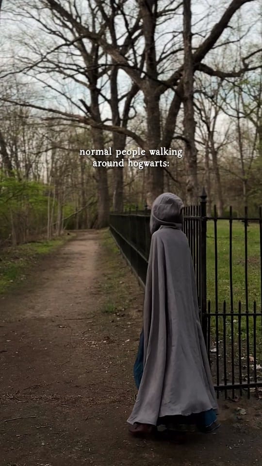 Post 8 by folkofthewood on TikTok (video)