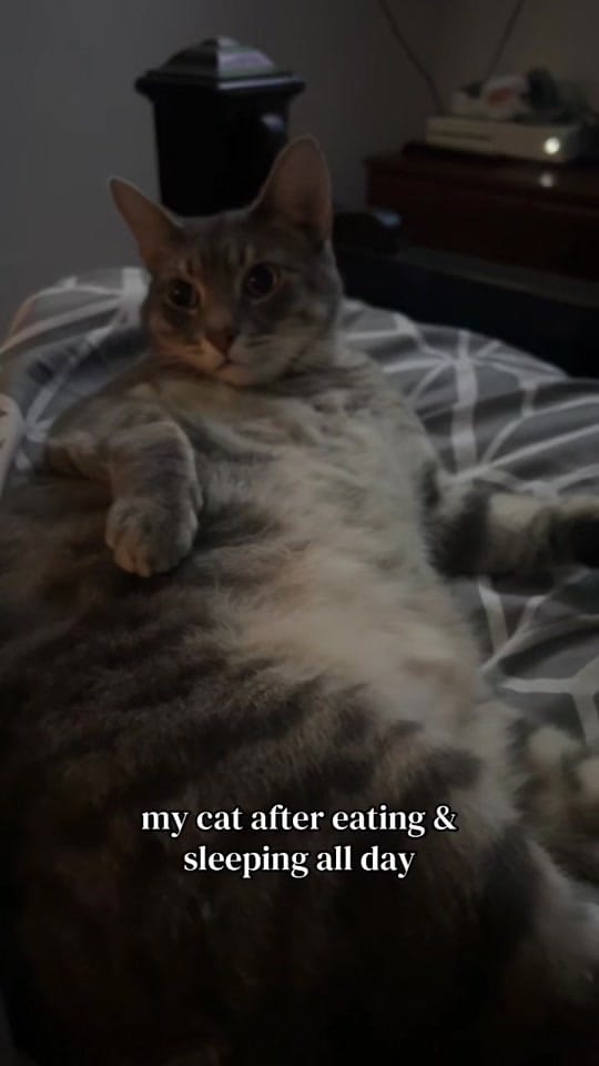 Post 9 by L a u r e n ⚡️🪩🎱 on TikTok (video)