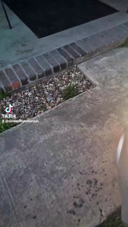 Post 5 by Destination Arkansas on TikTok (video)