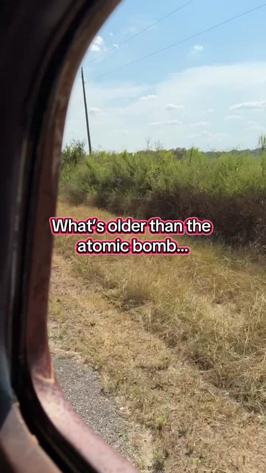 Post 5 by The Banned Wagon on TikTok (video)