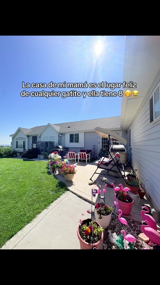 Post 9 by MARI LONDONO🌸 on TikTok (video)