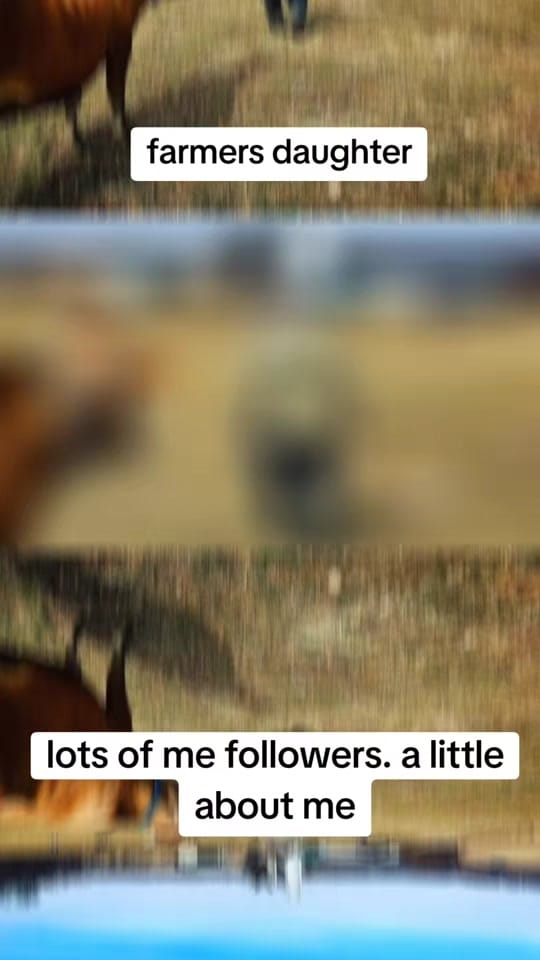 Post 8 by Hillbetty Bliss Boutique on TikTok (video)