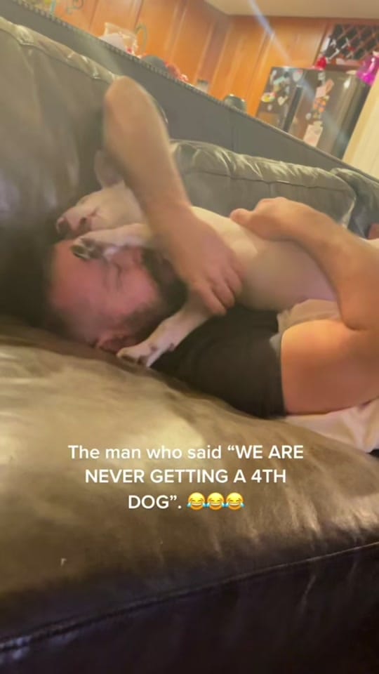 Post 1 by Ashley Davy McElroy❌ on TikTok (video)
