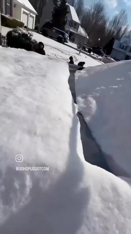 Post 2 by Saif BroUSA uShopUS.com on TikTok (video)