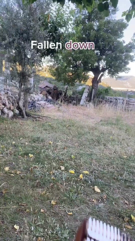 Post 10 by akordiya on TikTok (video)