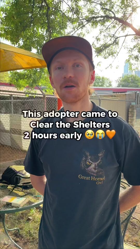 Post 8 by Austin Pets Alive! on TikTok (video)