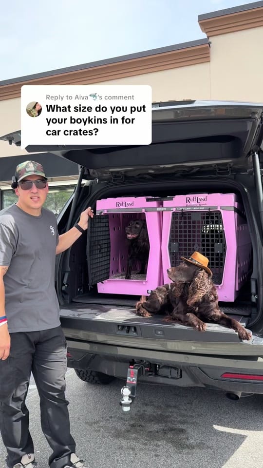 Post 3 by Performance Dog Supply on TikTok (video)