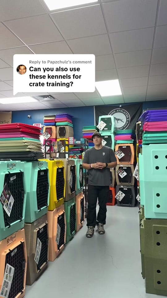 Post 2 by Performance Dog Supply on TikTok (video)