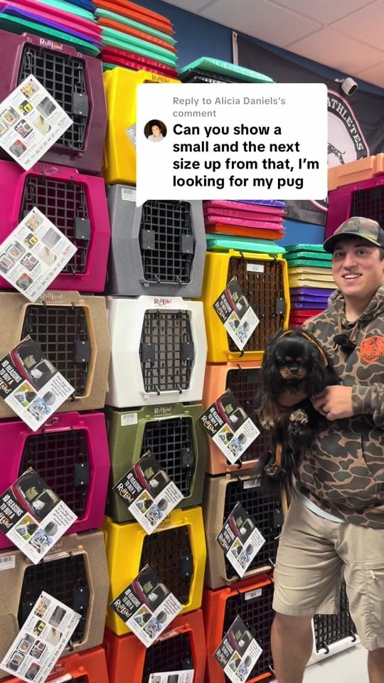 Post 7 by Performance Dog Supply on TikTok (video)