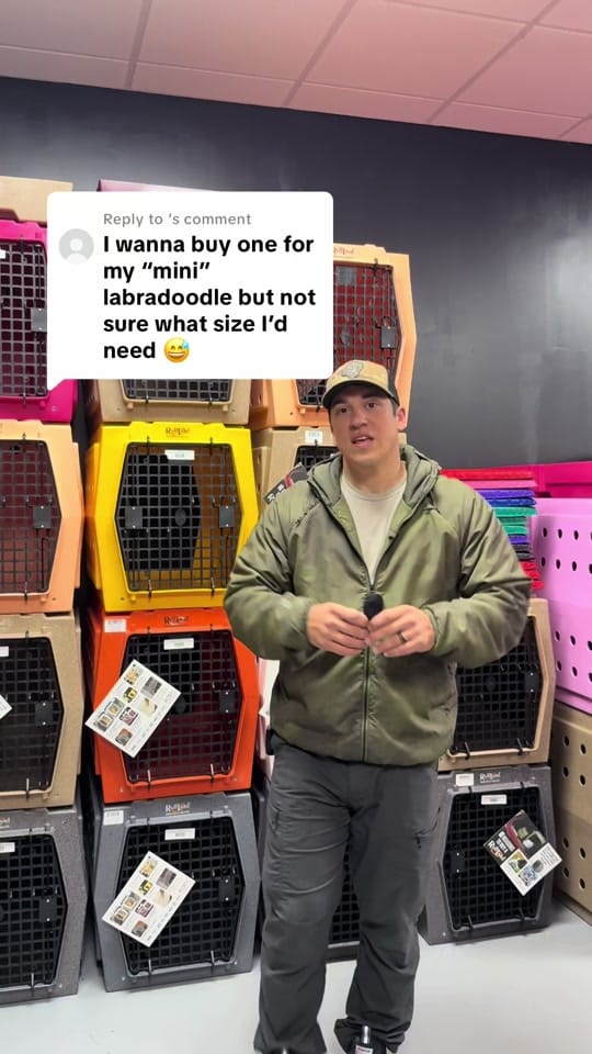 Post 10 by Performance Dog Supply on TikTok (video)