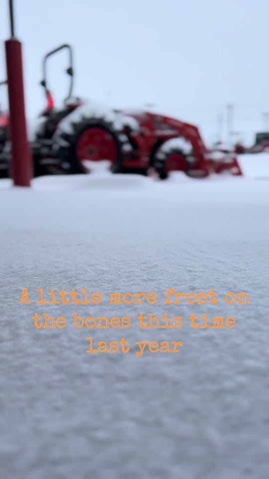 Post 5 by Kubota Kyle on TikTok (video)