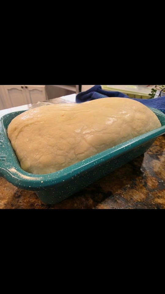 Post 7 by Lyndsey D on TikTok (video)