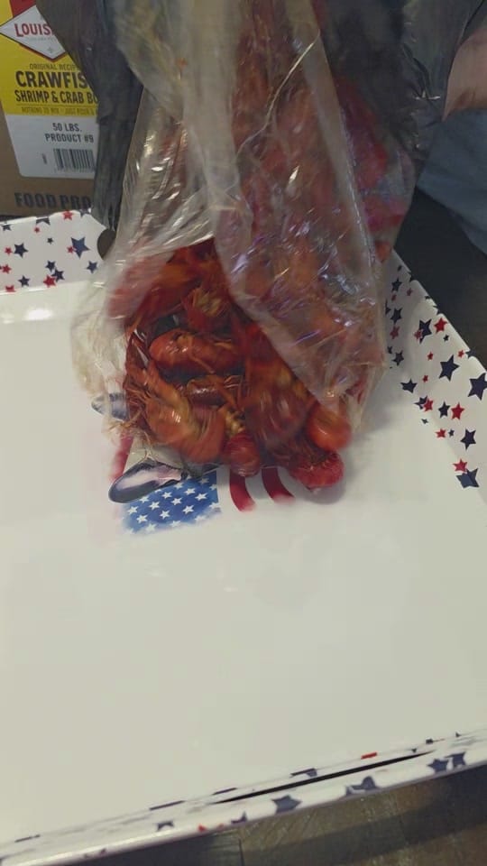 Post 6 by Lyndsey D on TikTok (video)