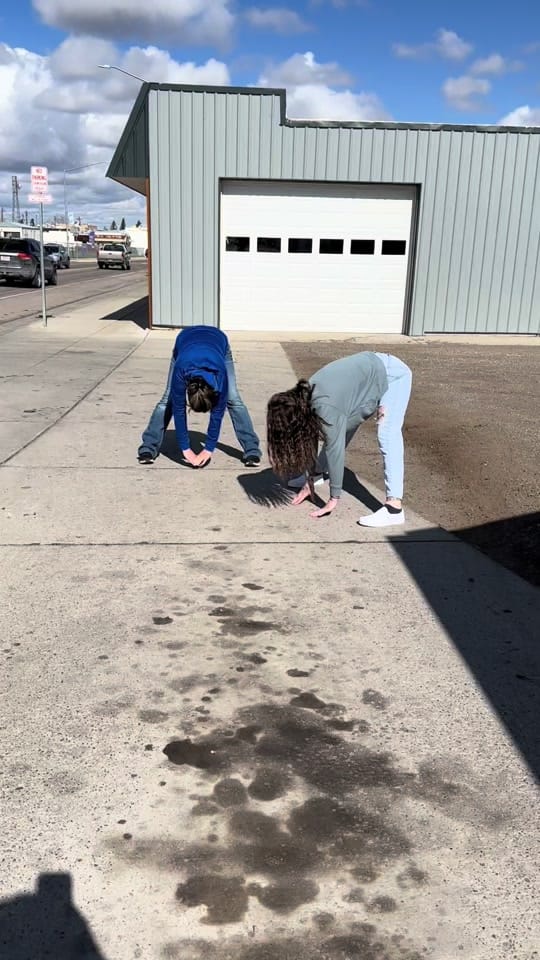 Post 8 by kacie_gibson on TikTok (video)