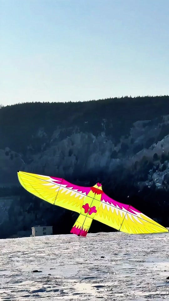 Post 5 by ArslanRoc on TikTok (video)