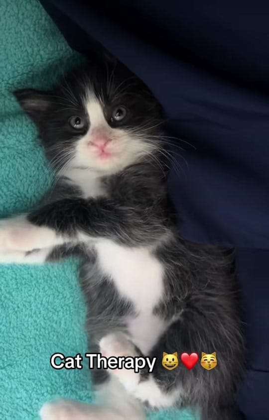 Post 10 by Mynie2DayUp on TikTok (video)