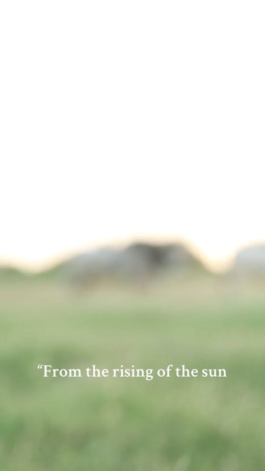 Post 7 by England Cattle Co. on TikTok (video)