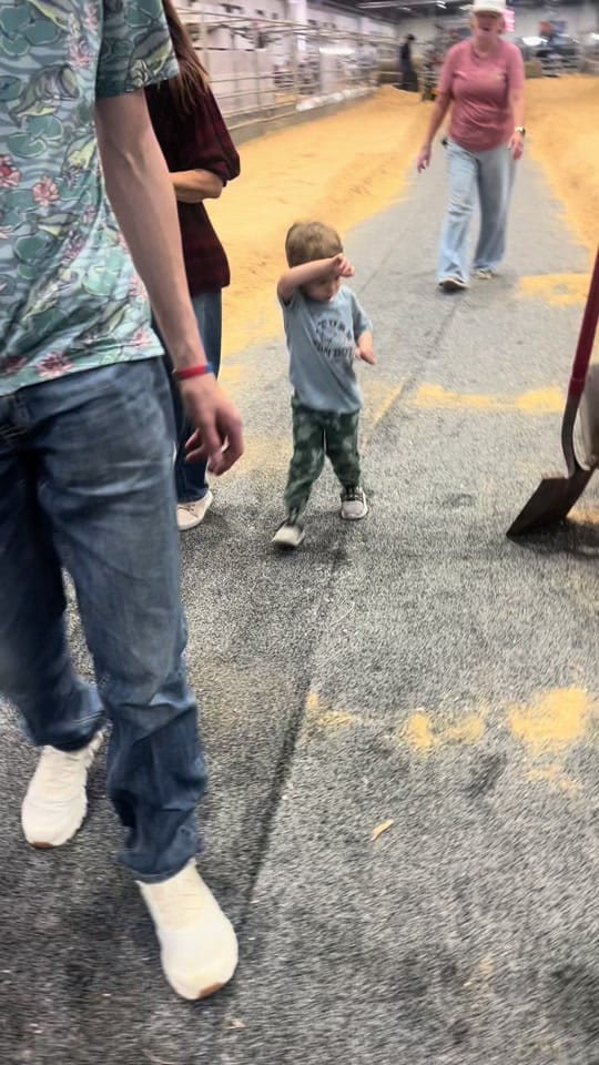 Post 3 by England Cattle Co. on TikTok (video)