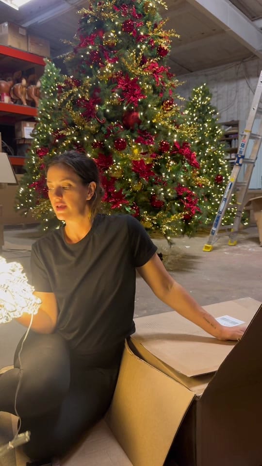 Post 5 by Kelly Fitzpatrick on TikTok (video)