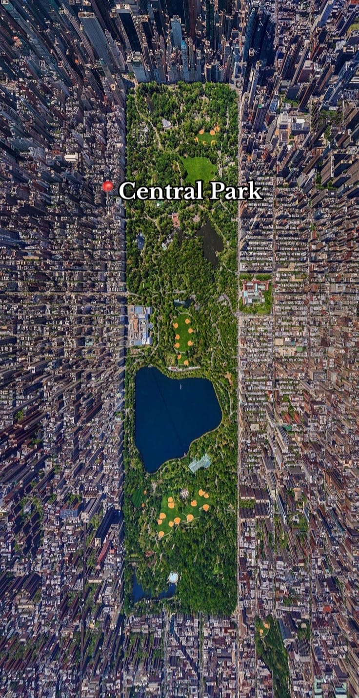 Post 9 by New York air on TikTok (video)