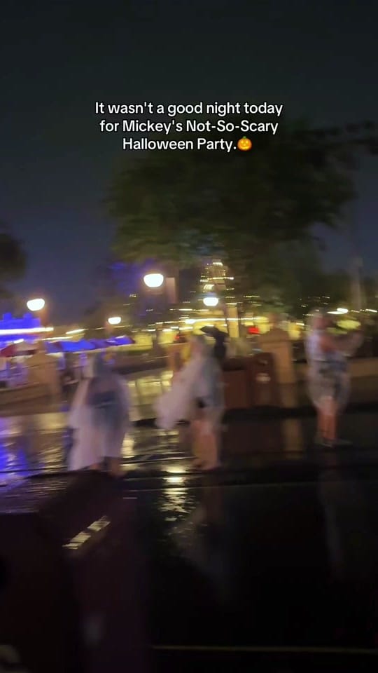 Post 2 by Emily on TikTok (video)