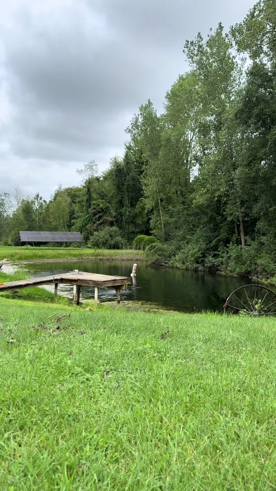 Post 2 by Bark nd Blue on TikTok (video)