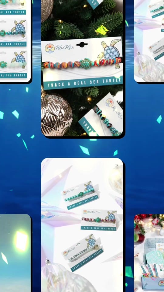 Post 4 by KoaKoa.life on TikTok (video)