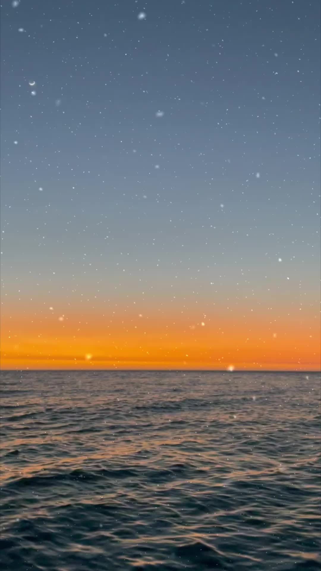 Post 2 by KoaKoa.life on TikTok (video)