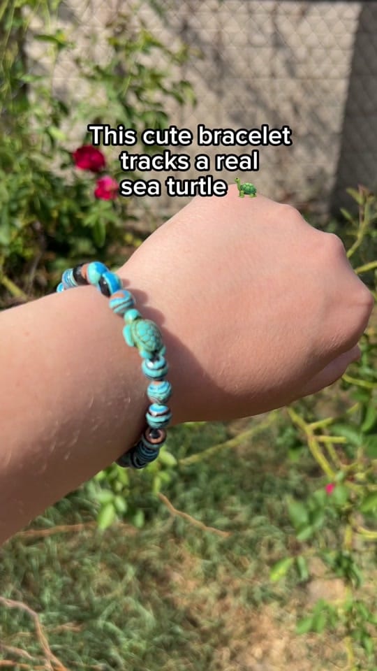 Post 7 by KoaKoa.life on TikTok (video)