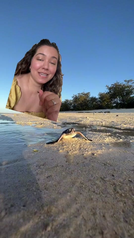 Post 6 by KoaKoa.life on TikTok (video)