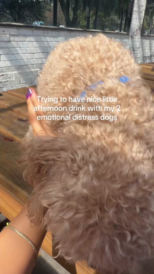 Post 4 by Hiraliciouss on TikTok (video)