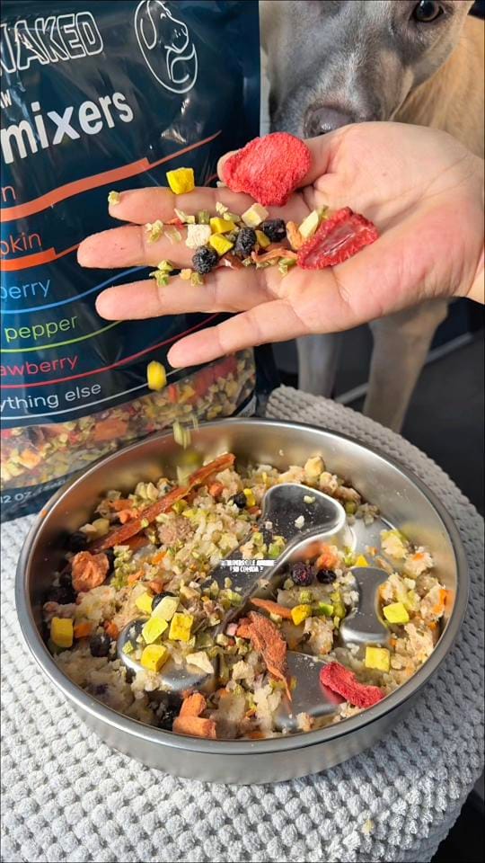 Post 8 by Monica/VetPets🇺🇸 on TikTok (video)