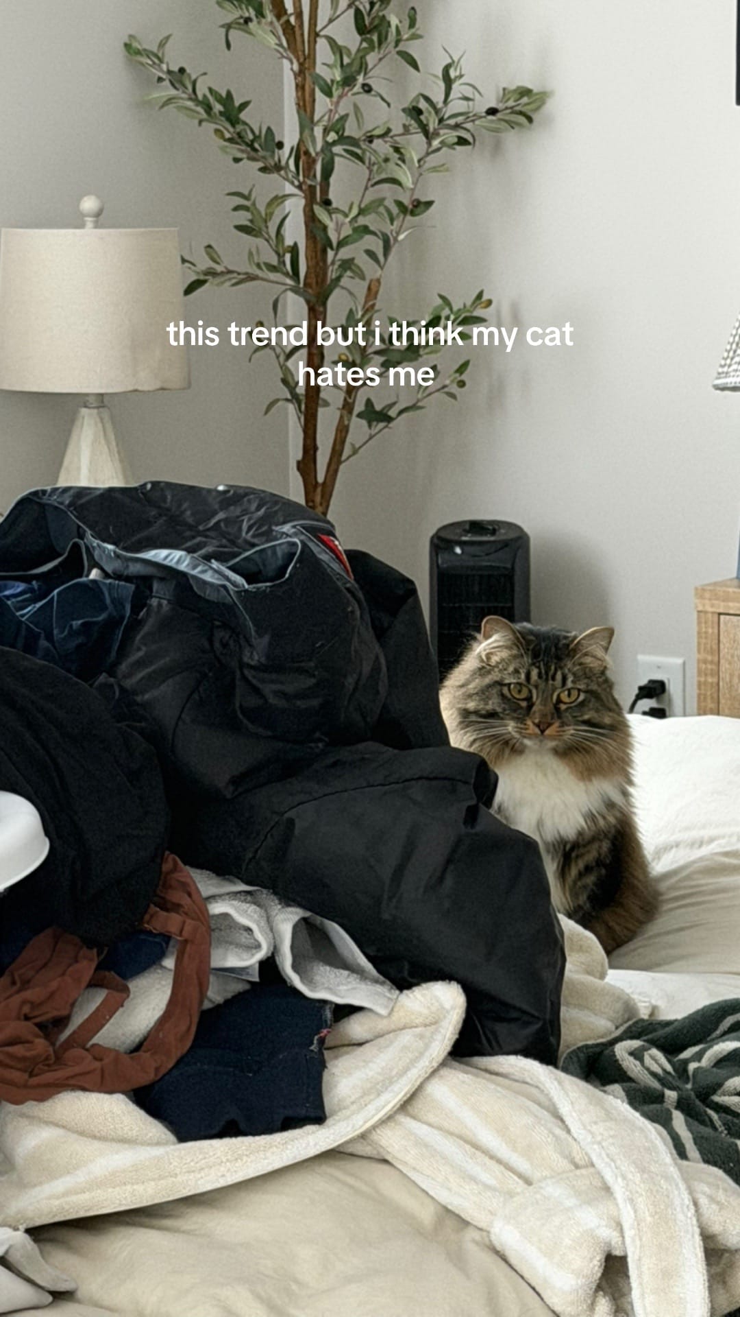 Post 7 by BELLA BABBITT on TikTok (video)