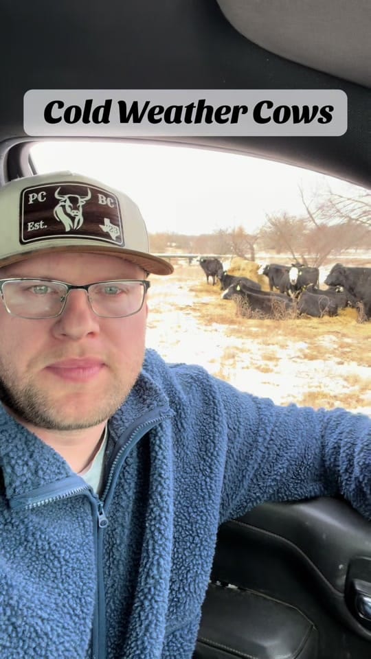 Post 2 by Parker County Beef Co on TikTok (video)