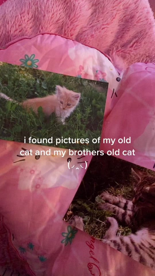 Post 8 by 🎀 on TikTok (video)
