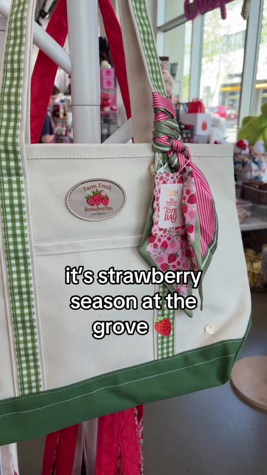 Post 5 by The Grove on TikTok (video)