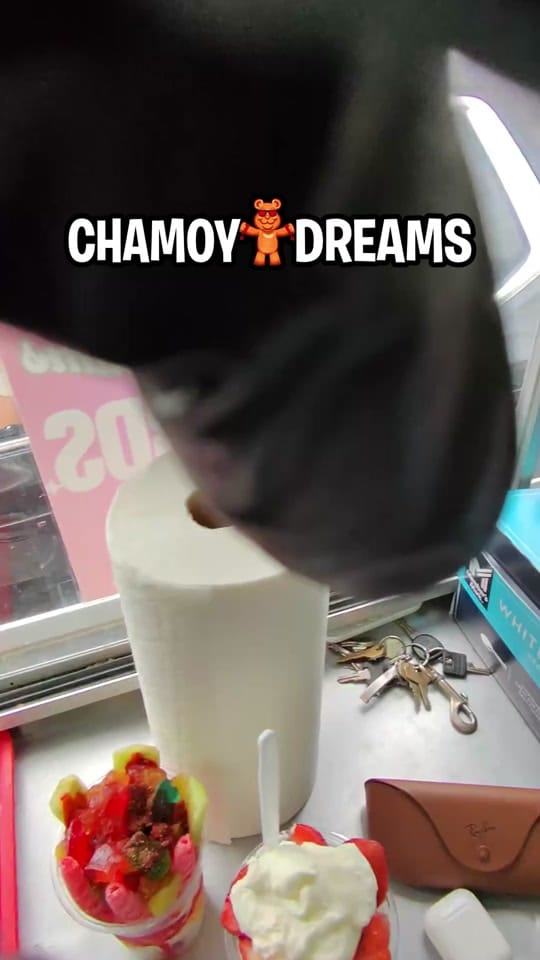 Post 5 by chamoydreams on TikTok (video)