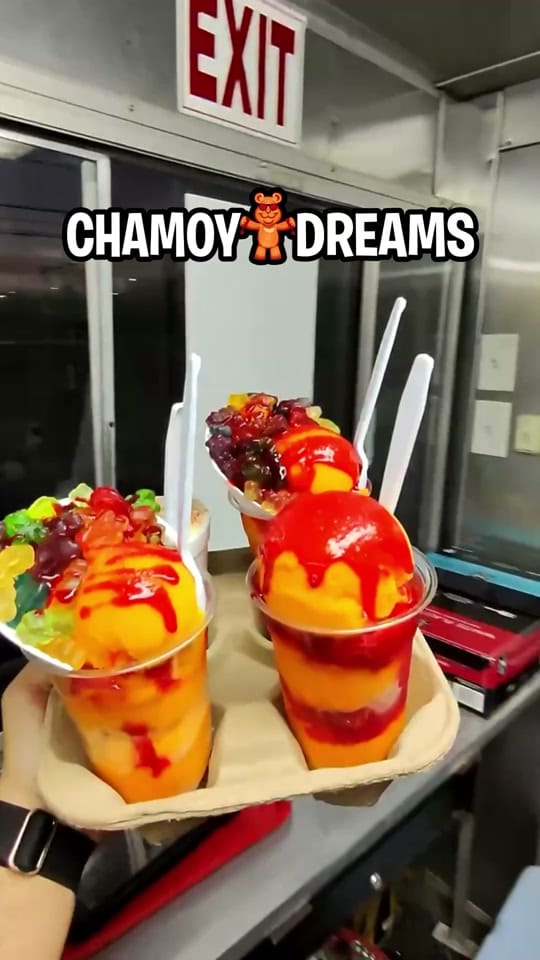 Post 3 by chamoydreams on TikTok (video)