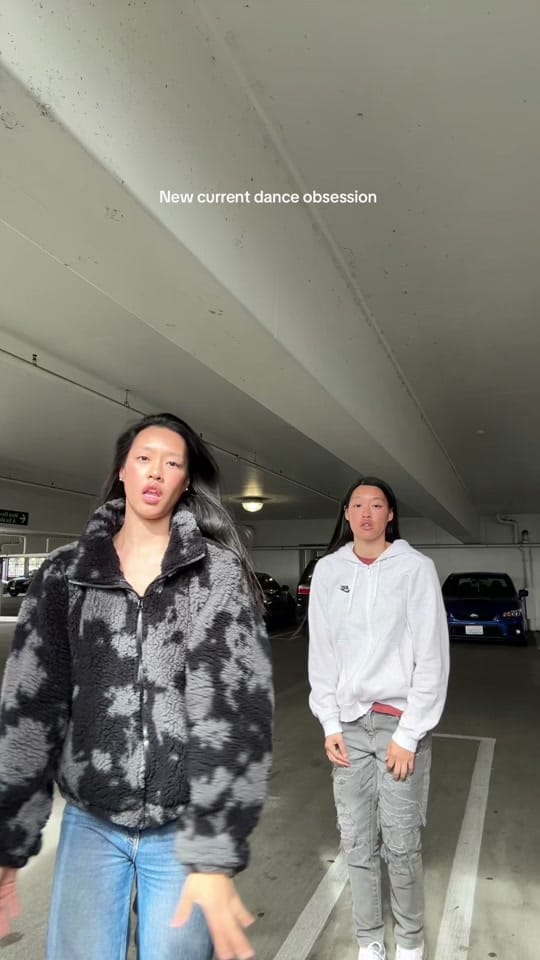 Post 3 by Jie and Mei on TikTok (video)