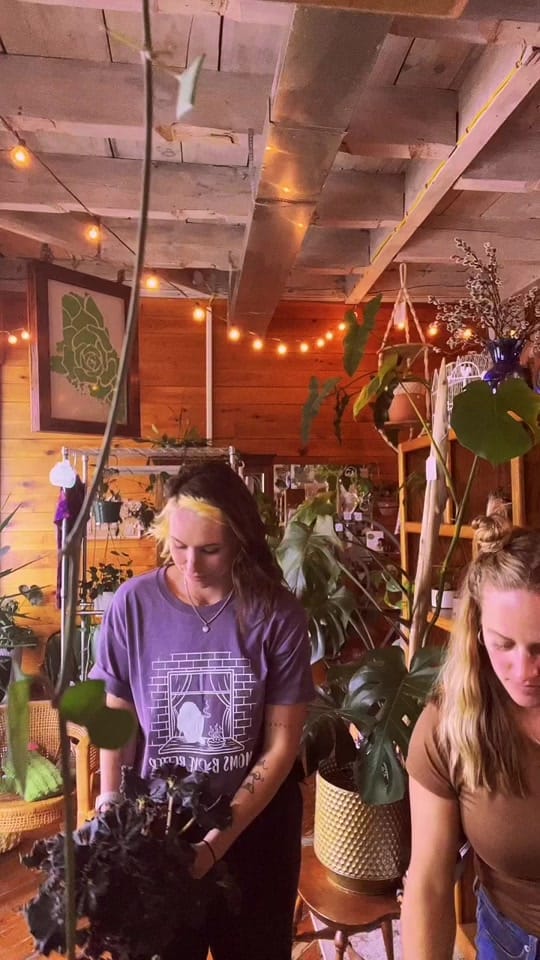 Post 7 by Mainely Succulents on TikTok (video)