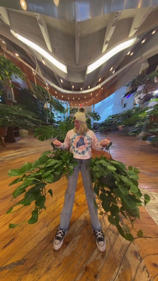 Post 9 by Mainely Succulents on TikTok (video)