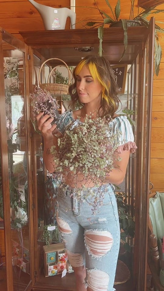 Post 4 by Mainely Succulents on TikTok (video)