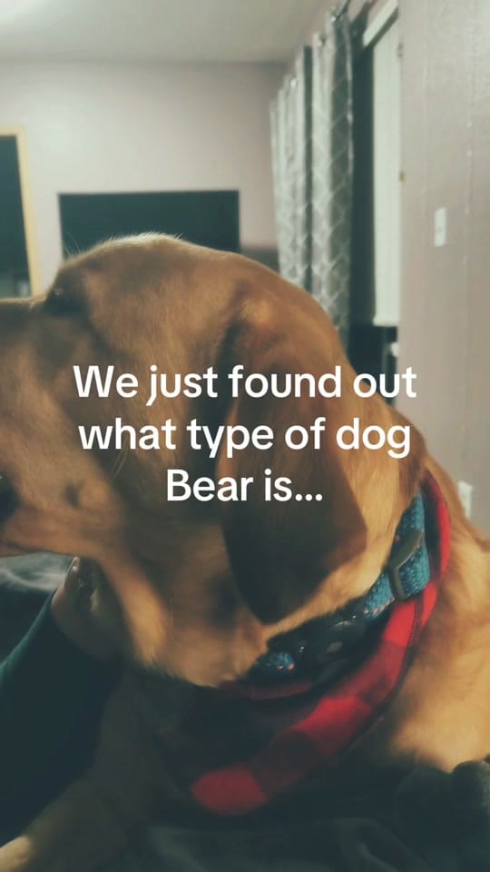 Post 6 by ✨ Sam | Ida•Homie ⛰️💛 on TikTok (video)
