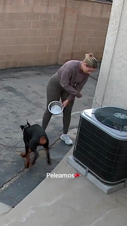 Post 8 by Kimberly Alexa on TikTok (video)