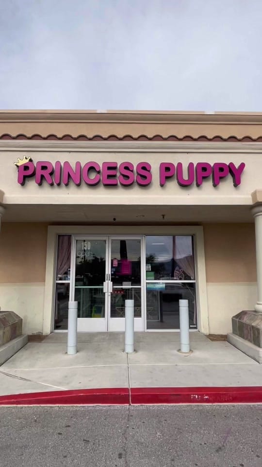 Post 8 by Princess Puppy on TikTok (video)