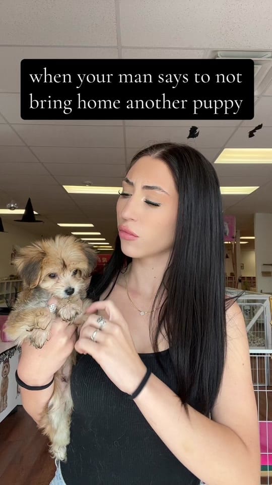 Post 6 by Princess Puppy on TikTok (video)