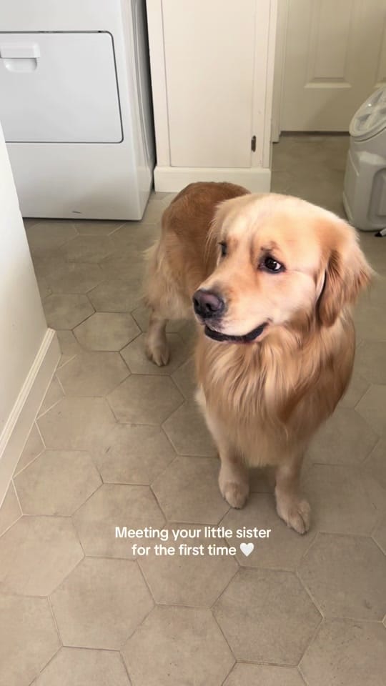 Post 6 by Chandler Smith on TikTok (video)